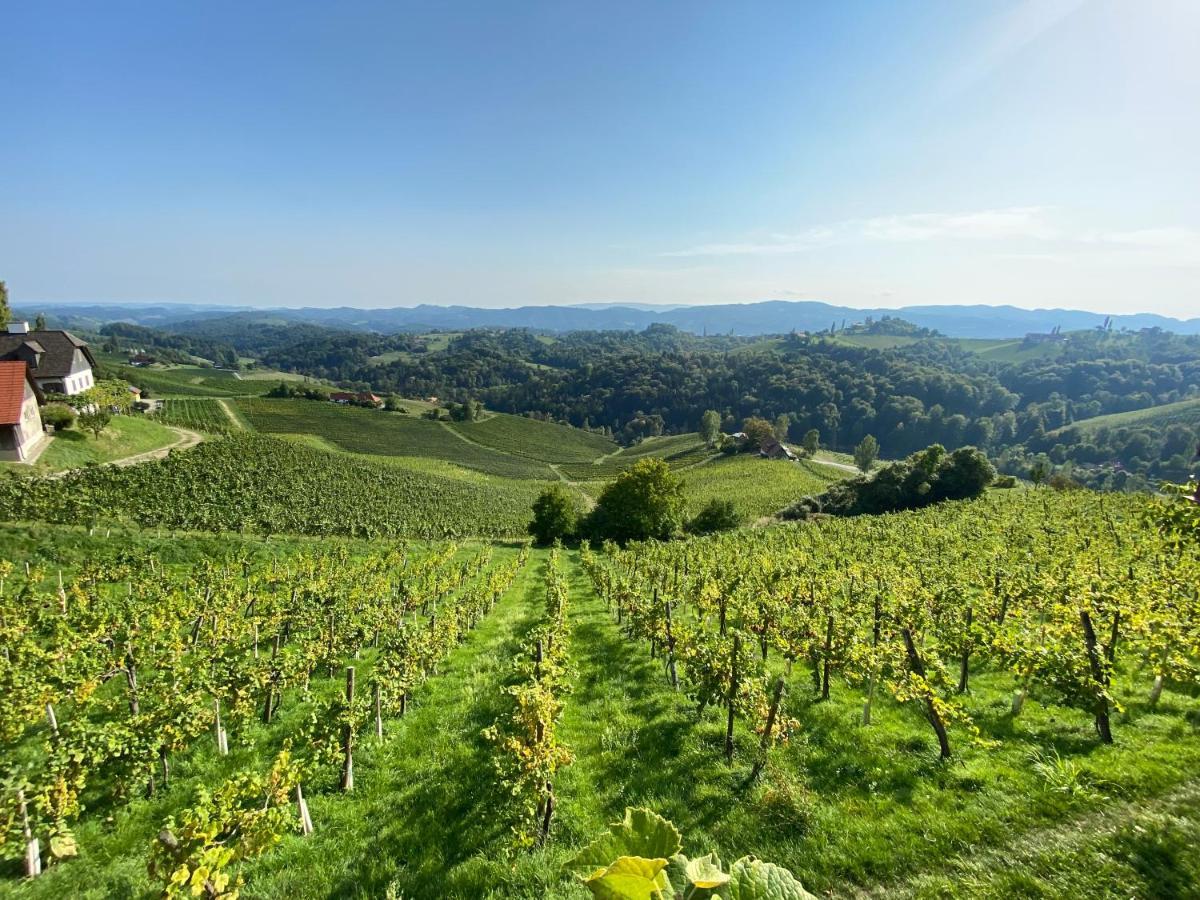 Wein Kultur Apartment Flavia Solva Wagna エクステリア 写真